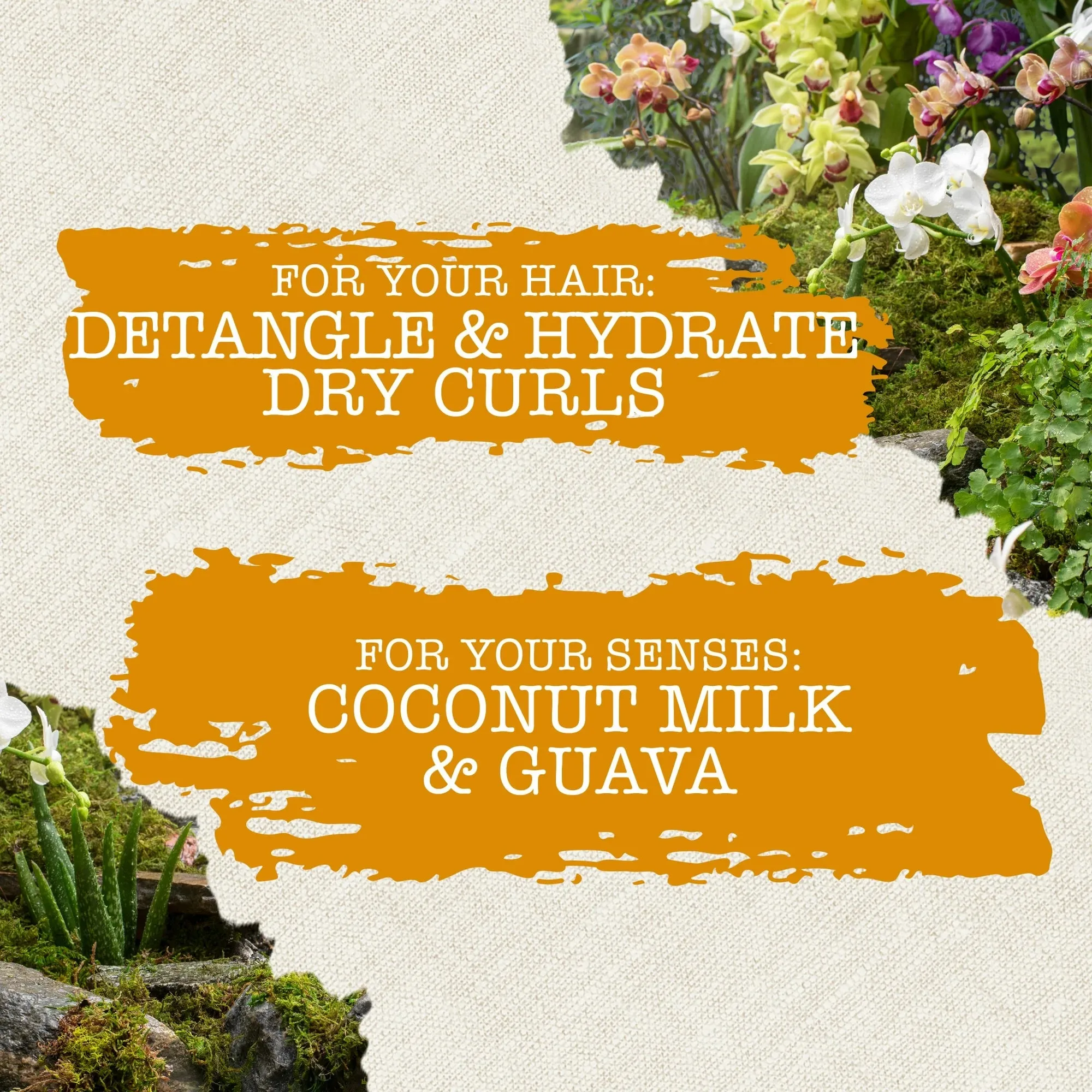 Maui Nourish & Moisture   Coconut Milk Conditioner for Dry Hair - 13oz