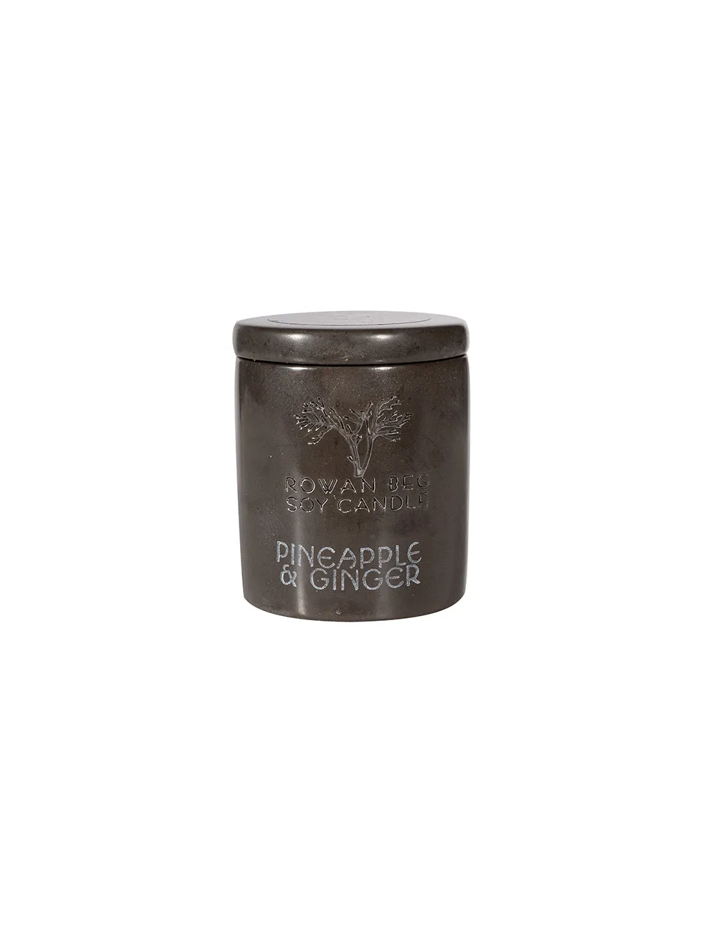 Pineapple & Ginger Orginal - Urban Collection