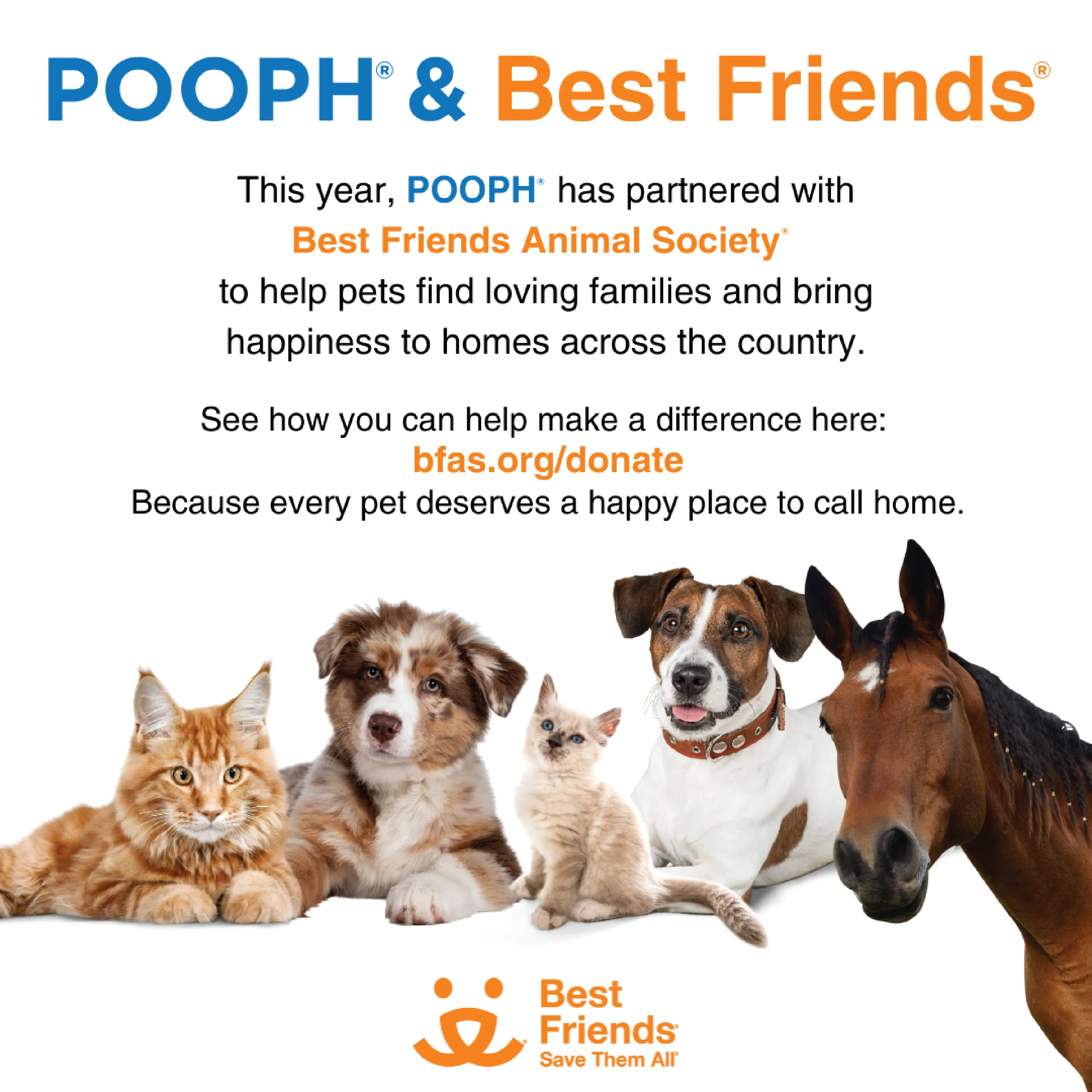 POOPH® Kitty Spray Odor Eliminator, 20oz Spray